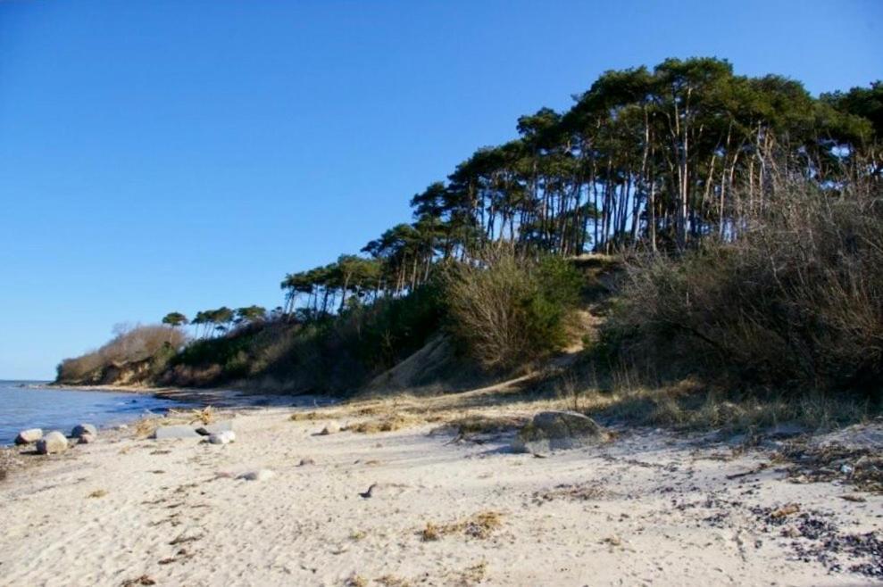 Tallskog - Dein Apartment Am Naturstrand Hohen Wieschendorf Hohenkirchen  Экстерьер фото