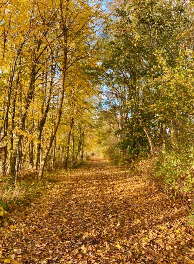 Tallskog - Dein Apartment Am Naturstrand Hohen Wieschendorf Hohenkirchen  Экстерьер фото